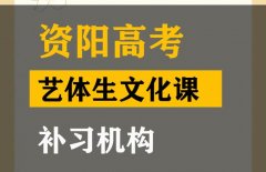 资阳体育生文化课补习班,高考文化课集训机构