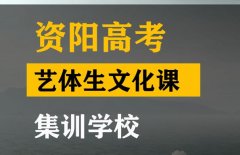 资阳艺体生文化课集训学校,高中文化课培训机构