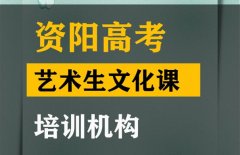 资阳美术生文化课集训机构,高中文