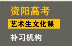 资阳美术生文化课补习怎么收费,高中文化课培训机构