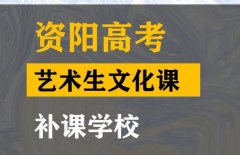 资阳美术生文化课集训班,高三艺术生文化课补课班