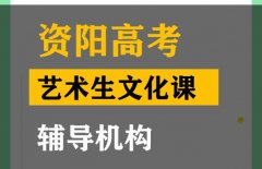 绵阳体育生文化课补习学校,高考艺术生文化课辅导机构