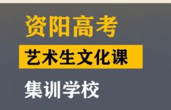 简阳市美术生文化课集训学校,高中文化课冲刺班