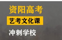 资阳体育生文化课辅导怎么收费,高考文化课冲刺班