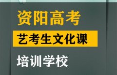 资阳音乐生文化课辅导哪家好,高考艺考文化课集训班