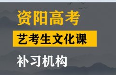 资阳艺考生文化课培训学校,高三文化课补习机构