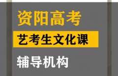 资阳艺考生文化课辅导机构,高三文化课补课班