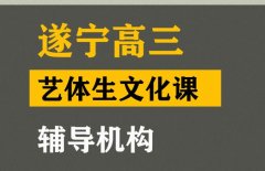 遂宁艺考生文化课集训学校,高三艺术生文化课辅导机构