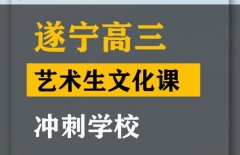 遂宁体育生文化课补习班,高三文化课冲刺学校