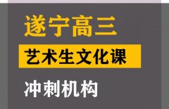 遂宁艺考生文化课机构价格,高三艺术生文化课冲刺班