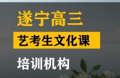 遂宁美术生文化课集训怎么收费,高三艺考文化课培训班