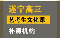 遂宁体育生文化课补习学校,高三艺考文化课补课机构