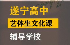 遂宁艺术生文化课集训怎么收费,高中艺术生文化课辅导学校