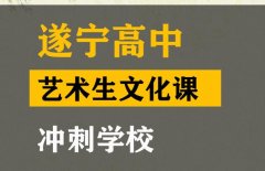 遂宁艺术生文化课冲刺班,高考文化课提分班