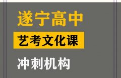 遂宁艺考生文化课冲刺机构,高三文化课集训班