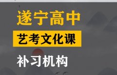 万源市传媒生文化课补习机构,高中文化课补习机构