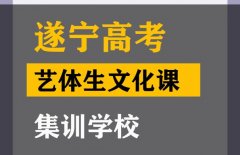 遂宁艺体生文化课集训学校,高三文化课辅导班