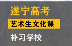 遂宁美术生文化课辅导机构,高考艺术生文化课补习班