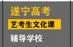 遂宁艺考生文化课辅导学校,高考艺术生文化课补习班