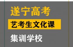 遂宁音乐生文化课集训机构,高三艺考文化课集训学校