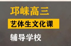 华蓥市艺体生文化课辅导班,高中艺考文化课提分学校