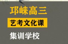 邛崃市音乐生文化课辅导班,高三艺考文化课集训学校