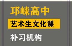 广汉市艺考生文化课培训中心,高中艺术生文化课补习机构