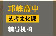 邛崃市舞蹈生文化课补课班,高考文化课辅导机构