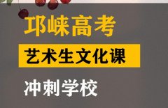 邛崃市美术生文化课培训机构,高三艺术生文化课冲刺班