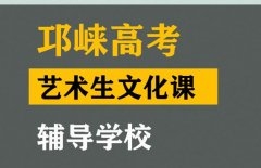 阆中市传媒生文化课辅导班,高考艺术生文化课辅导学校