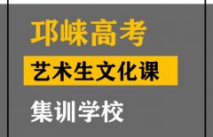 邛崃市舞蹈生文化课培训机构,高考艺术生文化课提分班