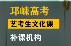 邛崃市艺考生文化课补课中心,高三文化课补习班