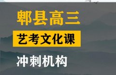 阆中市舞蹈生文化课冲刺学校,高考文化课冲刺机构