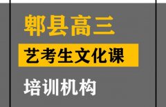 阆中市表演生文化课辅导