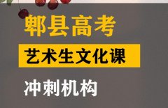 马尔康市美术生文化课冲刺班,高考文化课提分机构