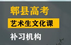 隆昌市艺体生文化课补习班,高考艺术生文化课补习机构