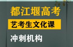 都江堰市音乐生文化课培训学校,高考艺术生文化课冲刺机构