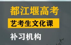 江油市美术生文化课培训班,高考艺考生文化课补习机构