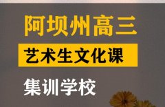 阿坝美术生文化课冲刺班,高三艺术生文化课集训班