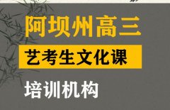 阿坝音乐生文化课培训机构,高中文化课提分班