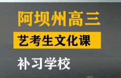 阿坝传媒生文化课辅导怎么收费,高考艺考生文化课补习学校