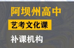 阿坝艺考生文化课辅导哪家好,高考艺考文化课补课机构