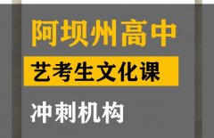 阿坝音乐生文化课补习学校,高考艺考生文化课冲刺机构