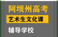 阿坝美术生文化课补习怎么收费,高三文化课辅导学校