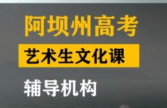 阿坝美术生文化课辅导班,高三文化课培训机构