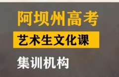 阿坝艺考生文化课机构价格,高考艺术生文化课培训班