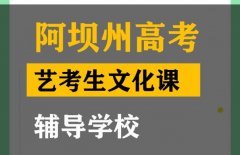 阿坝艺考生文化课辅导学校,高三文化课培训机构