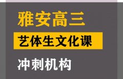 雅安艺体生文化课冲刺机构,高中艺考生文化课培训班