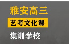 马尔康市体育生文化课冲刺班,高三文化课集训学校