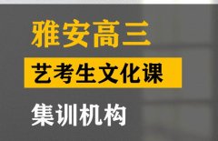 雅安体育生文化课冲刺机构,高三艺考生文化课培训班